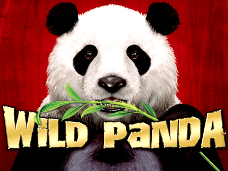 Free Wild Panda Slot Download